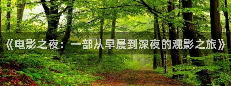 策驰策影院：《电影之夜：一部从早晨到深夜的观影之旅》