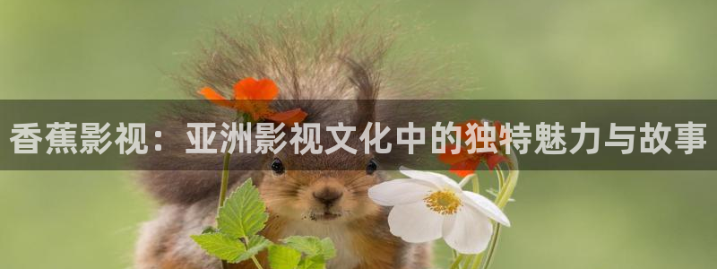免费电影驰策：香蕉影视：亚洲影视文化中的独特魅力与故事