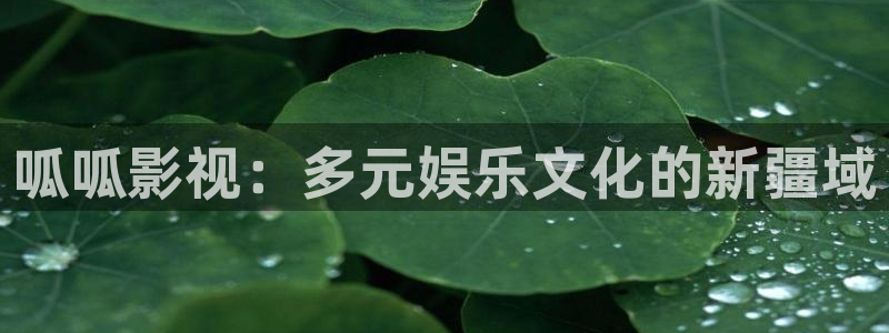 驰策影院在线观看