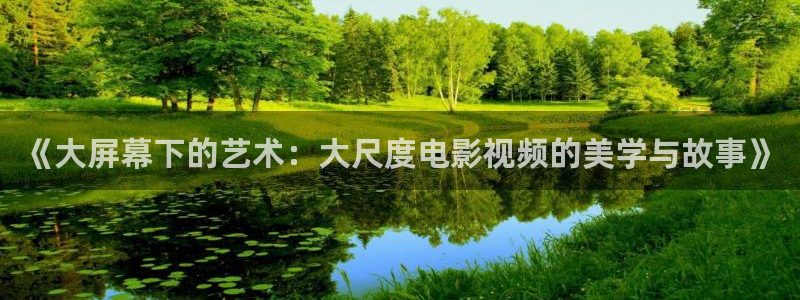 柳舟记驰策影院：《大屏幕下的艺术：大尺度电影视频的美学与故事》